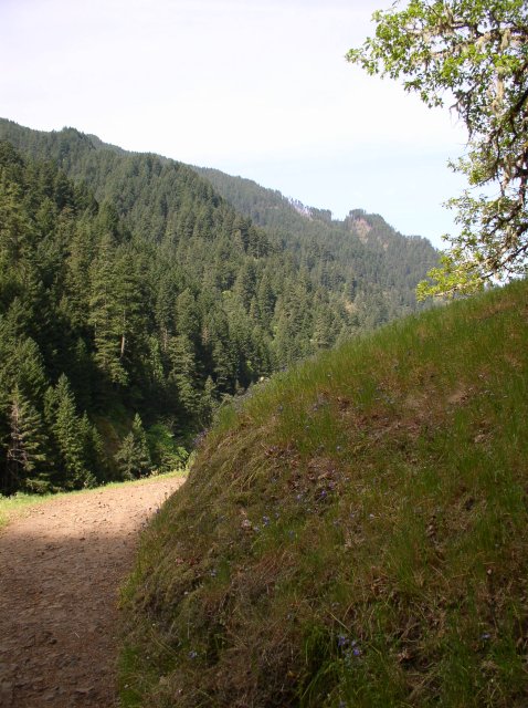 5.5.06 Eagle Creek 011 